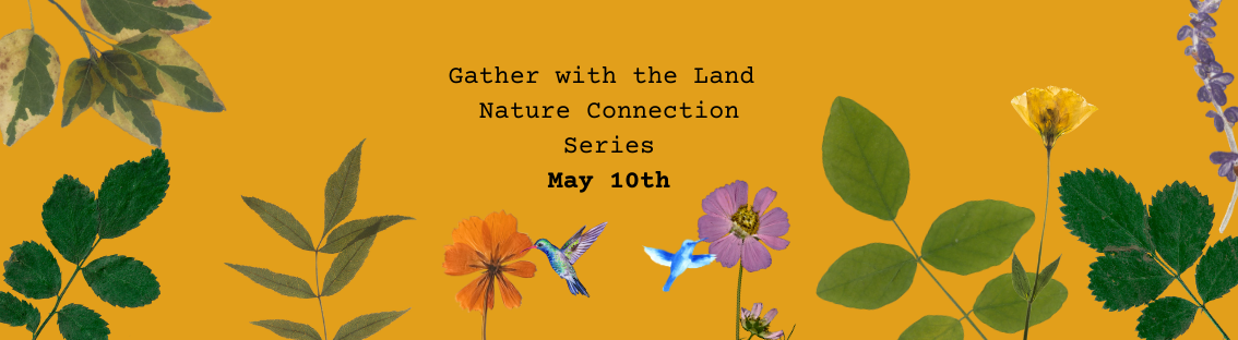 Gather with the Land, Nature Connection Series: Seeds, Grounding & Roots